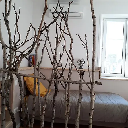 Guest house Carpe Diem Selestat