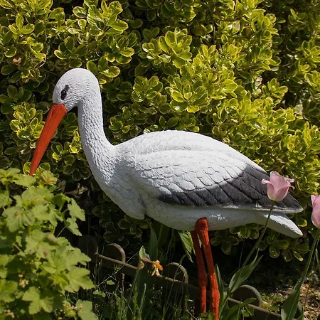 Konukevi Carpe Diem Sélestat