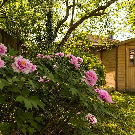 Guest house Carpe Diem 4*