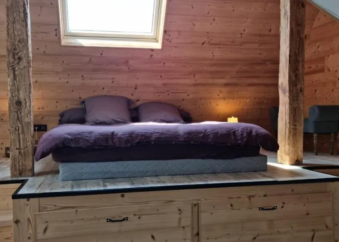 Konukevi Carpe Diem Sélestat