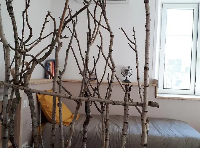 Konukevi Carpe Diem Sélestat