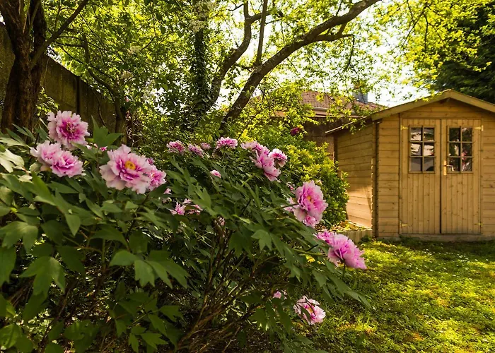 Konukevi Carpe Diem 4*